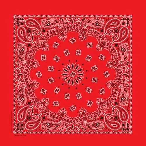 NT4401 Bandana Paisley Red Bandanas Carolina Mfg.