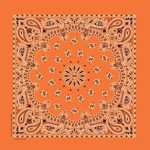 NT4404 Bandana Paisley Orange Bandanas Carolina Mfg.