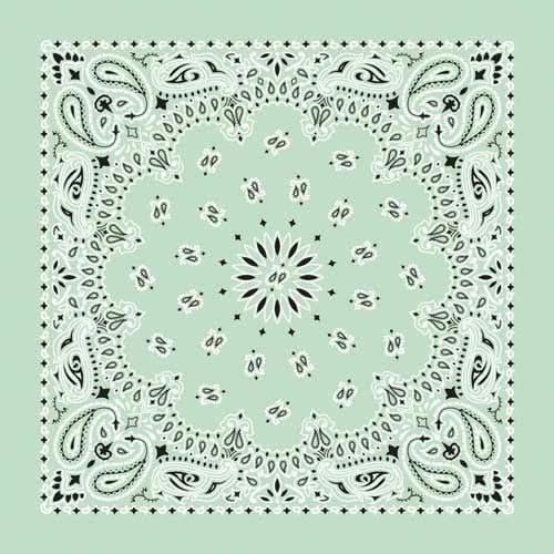 NT4414 Bandana Paisley Mint Bandanas Carolina Mfg.