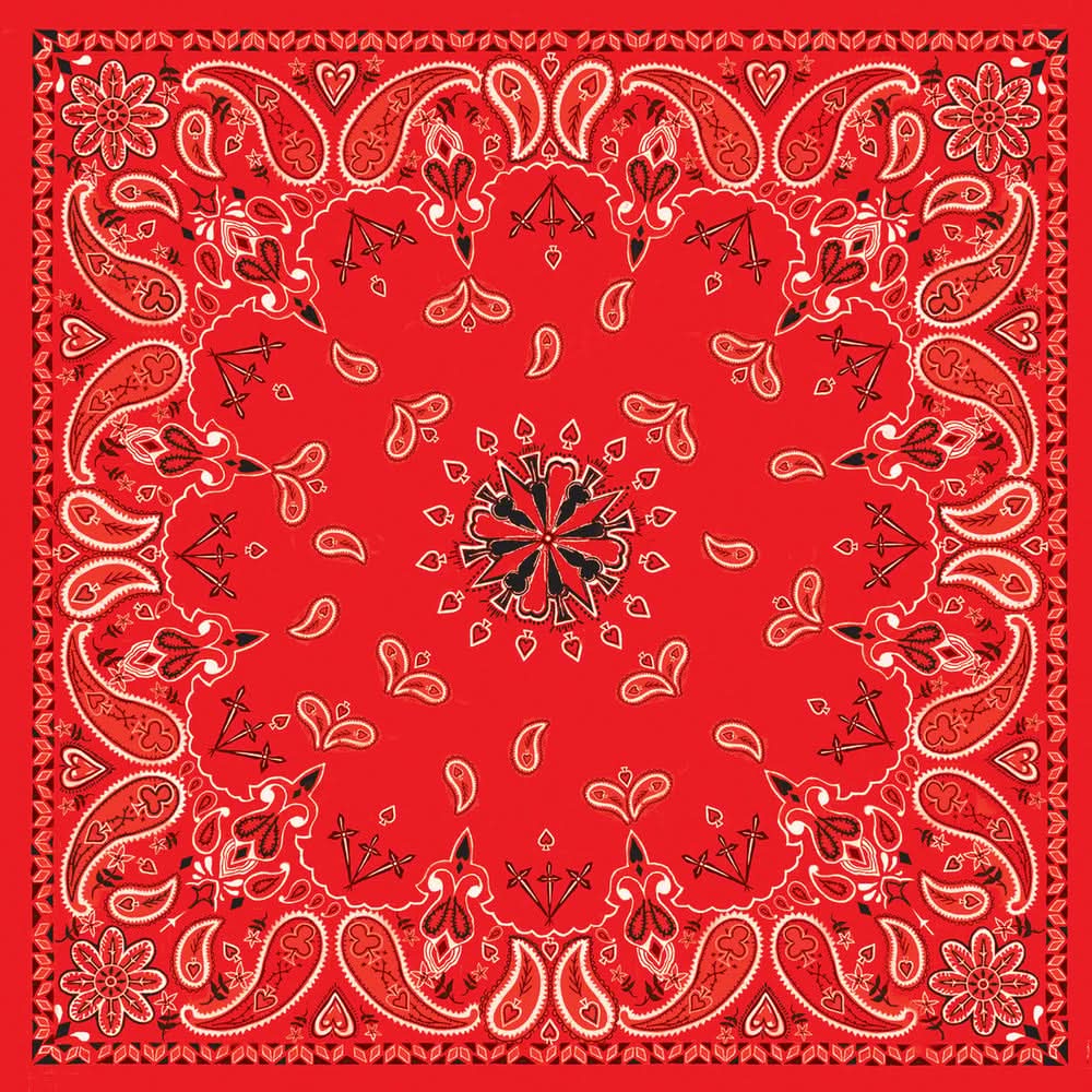 B003- Bandanna Red Paisley Bandanas ZAN Headgear