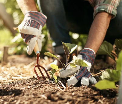 Gardening Gloves