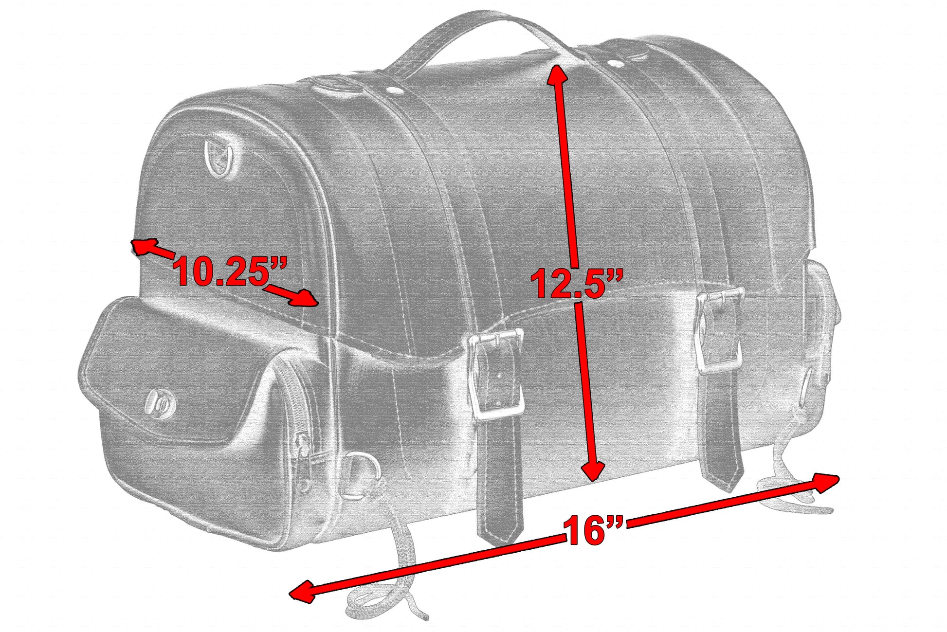 DS Updated Trunk Bag Sissy Bar Bags Renegade Classics