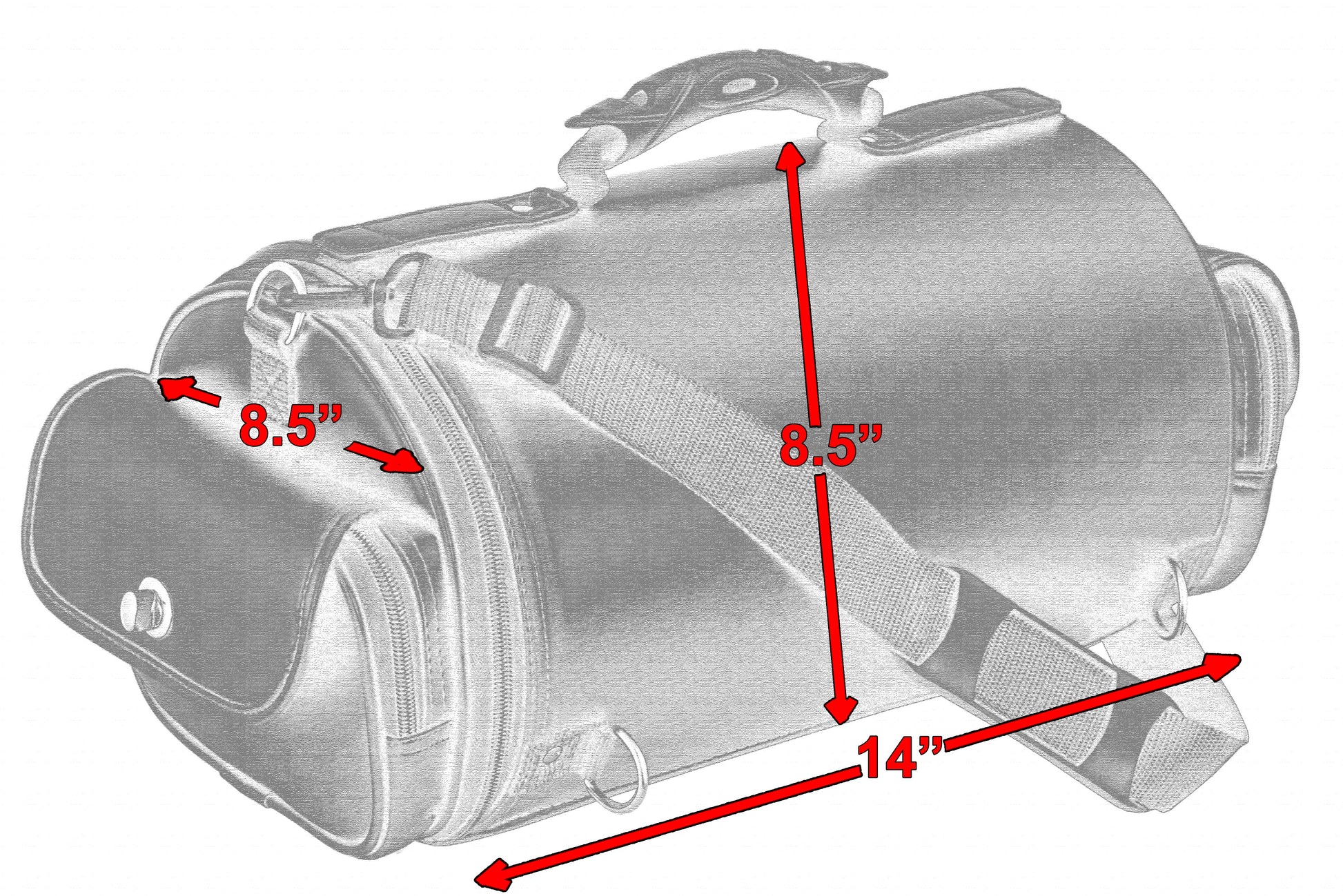 DS Updated Accessory Bag Sissy Bar Bags Renegade Classics