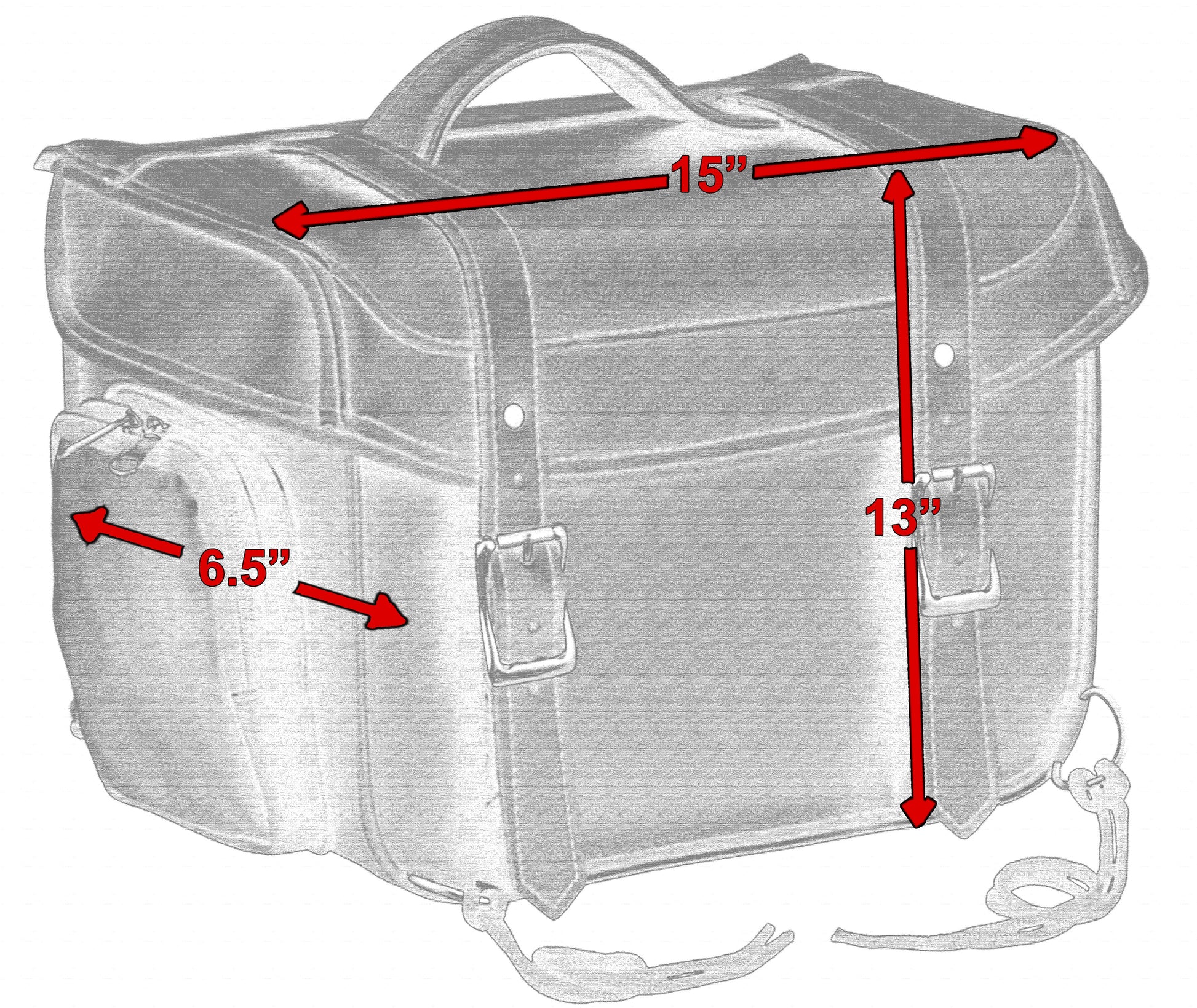DS Small Sissy Bar Bag - Cooler Insert Sissy Bar Bags Renegade Classics