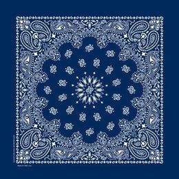 NT4402 Bandana Paisley Navy Bandanas Carolina Mfg.