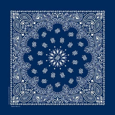 NT4402 Bandana Paisley Navy Bandanas Carolina Mfg.