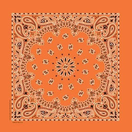 NT4404 Bandana Paisley Orange Bandanas Carolina Mfg.