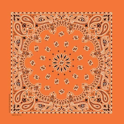NT4404 Bandana Paisley Orange Bandanas Carolina Mfg.