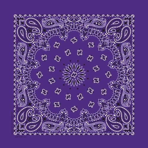 NT4406 Bandana Paisley Purple Bandanas Carolina Mfg.