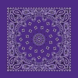 NT4406 Bandana Paisley Purple Bandanas Carolina Mfg.