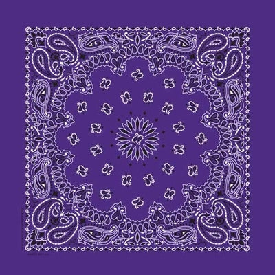 NT4406 Bandana Paisley Purple Bandanas Carolina Mfg.