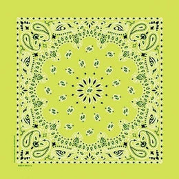 NT4410 Bandana Paisley Lime Bandanas Carolina Mfg.