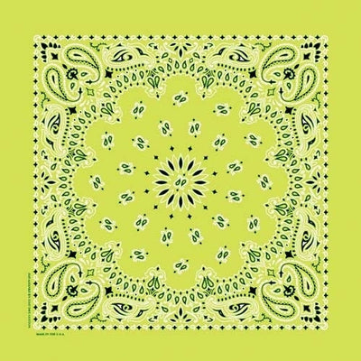 NT4410 Bandana Paisley Lime Bandanas Carolina Mfg.