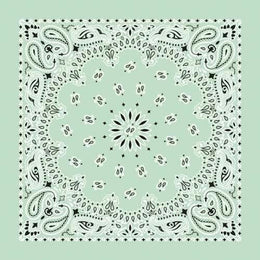 NT4414 Bandana Paisley Mint Bandanas Carolina Mfg.