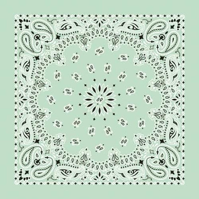NT4414 Bandana Paisley Mint Bandanas Carolina Mfg.