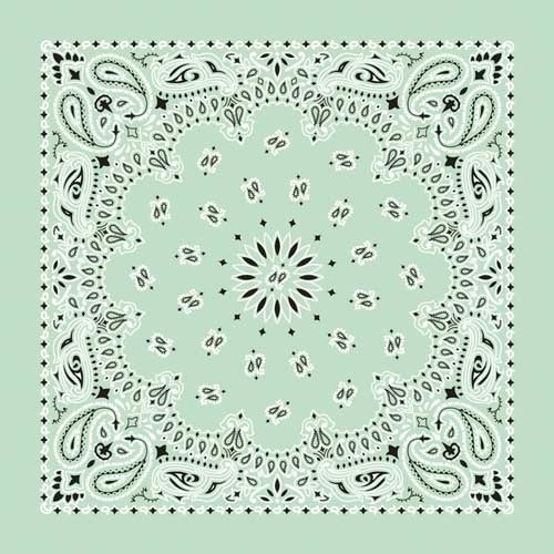 NT4414 Bandana Paisley Mint Bandanas Carolina Mfg.