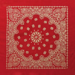 BD2519 Red Metalic Paisley Bandanas Carolina Mfg.
