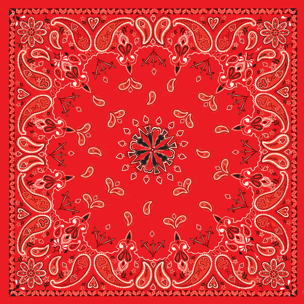 B003- Bandanna Red Paisley Bandanas ZAN Headgear