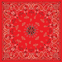 B003- Bandanna Red Paisley Bandanas ZAN Headgear