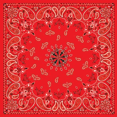 B003- Bandanna Red Paisley Bandanas ZAN Headgear