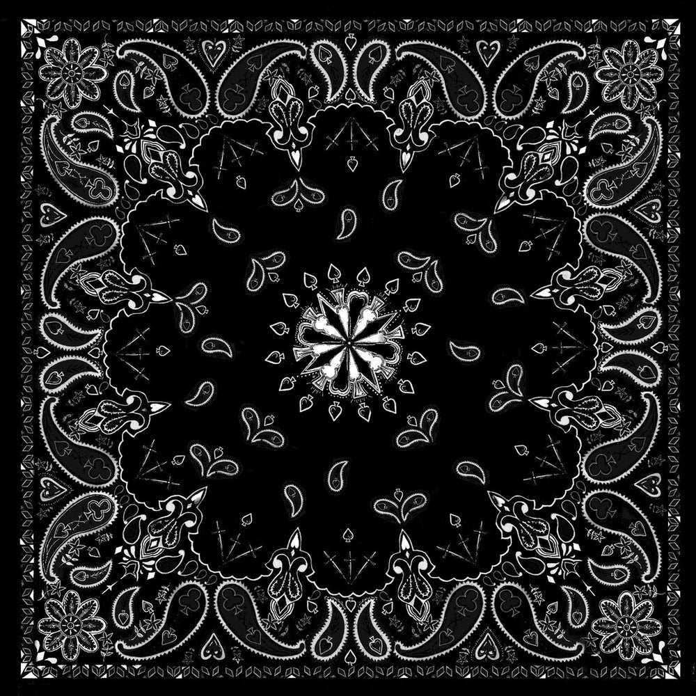B001- Bandanna Black Paisley Bandanas ZAN Headgear