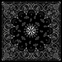 B001- Bandanna Black Paisley Bandanas ZAN Headgear