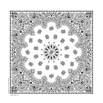 BD2504 Bandana Paisley White Bandanas Carolina Mfg.