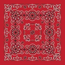 BD2507 Bandana Texas Paisley Red [27" x27"] Bandanas Carolina Mfg.