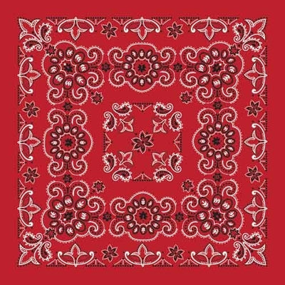 BD2507 Bandana Texas Paisley Red [27" x27"] Bandanas Carolina Mfg.