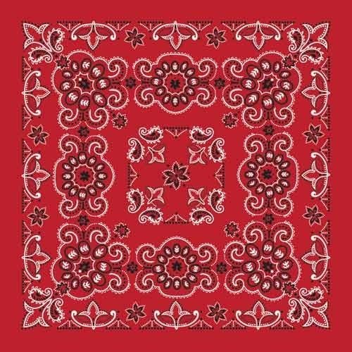 BD2507 Bandana Texas Paisley Red [27" x27"] Bandanas Carolina Mfg.